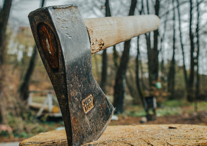 Axe In woods