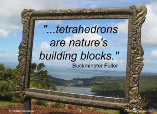 Buckminster Fuller Quote